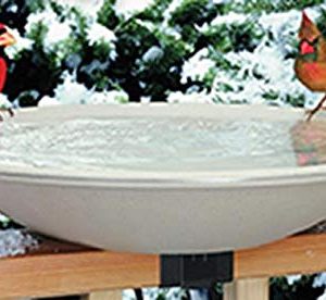 Bird Baths